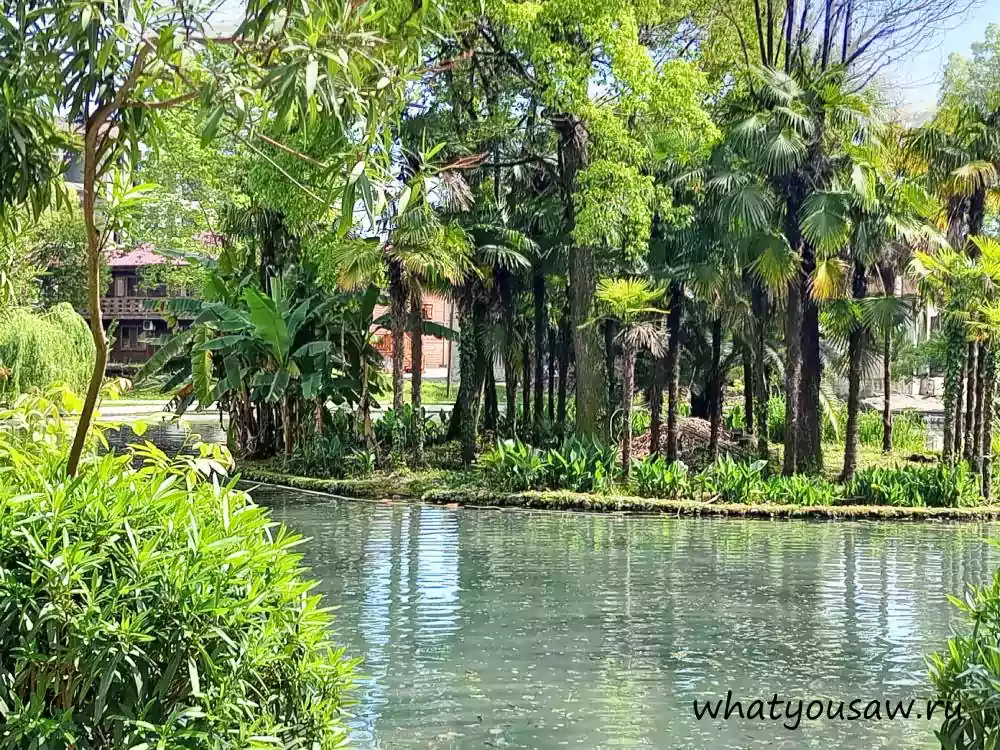 Вид с тропинки парка на пальмы расположенные на другой стороне озера