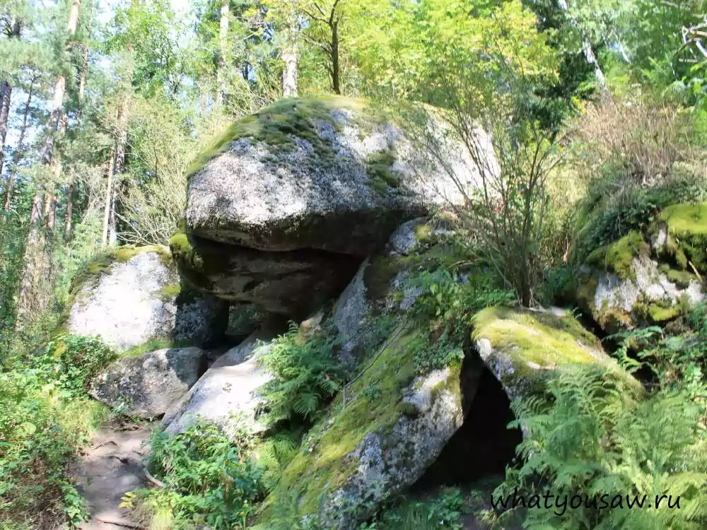 Скала Дельфин