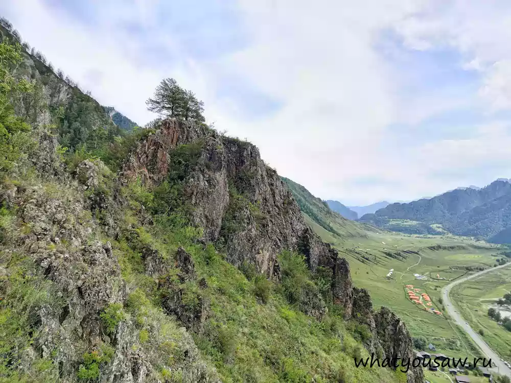 Сосны на скале