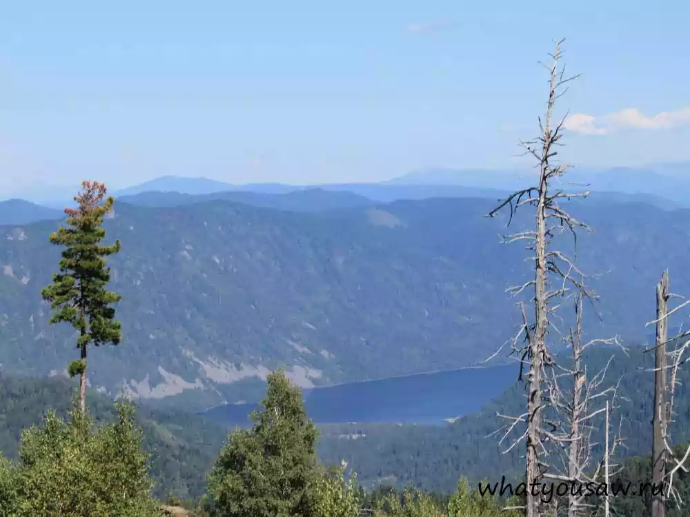 Вид на Телецкое озеро с вершины горы Кокуя